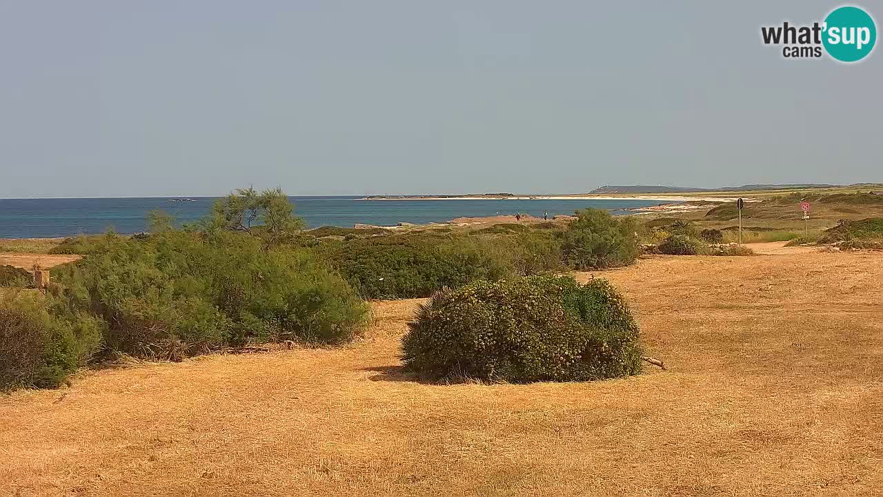 Plaža Mari Ermi | Is Arutas – Oristano