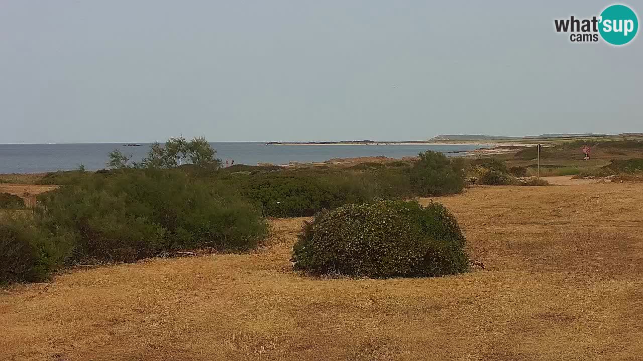 Mari Ermi Strand | Is Arutas – Oristano
