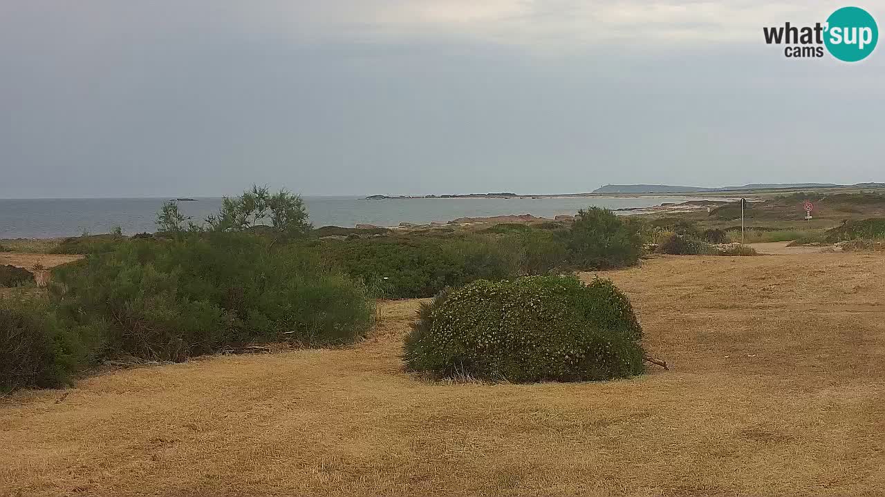 Plaža Mari Ermi | Is Arutas – Oristano