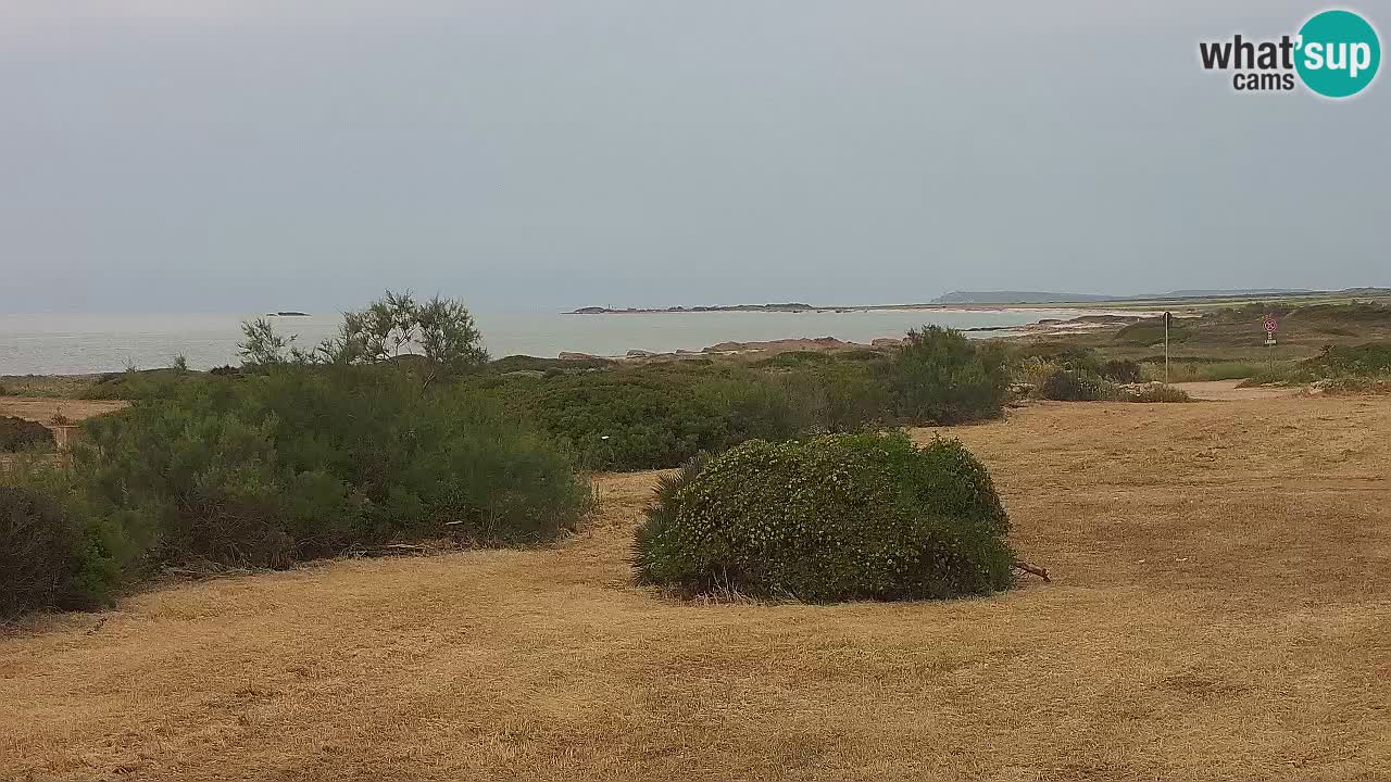 Mari Ermi Strand | Is Arutas – Oristano