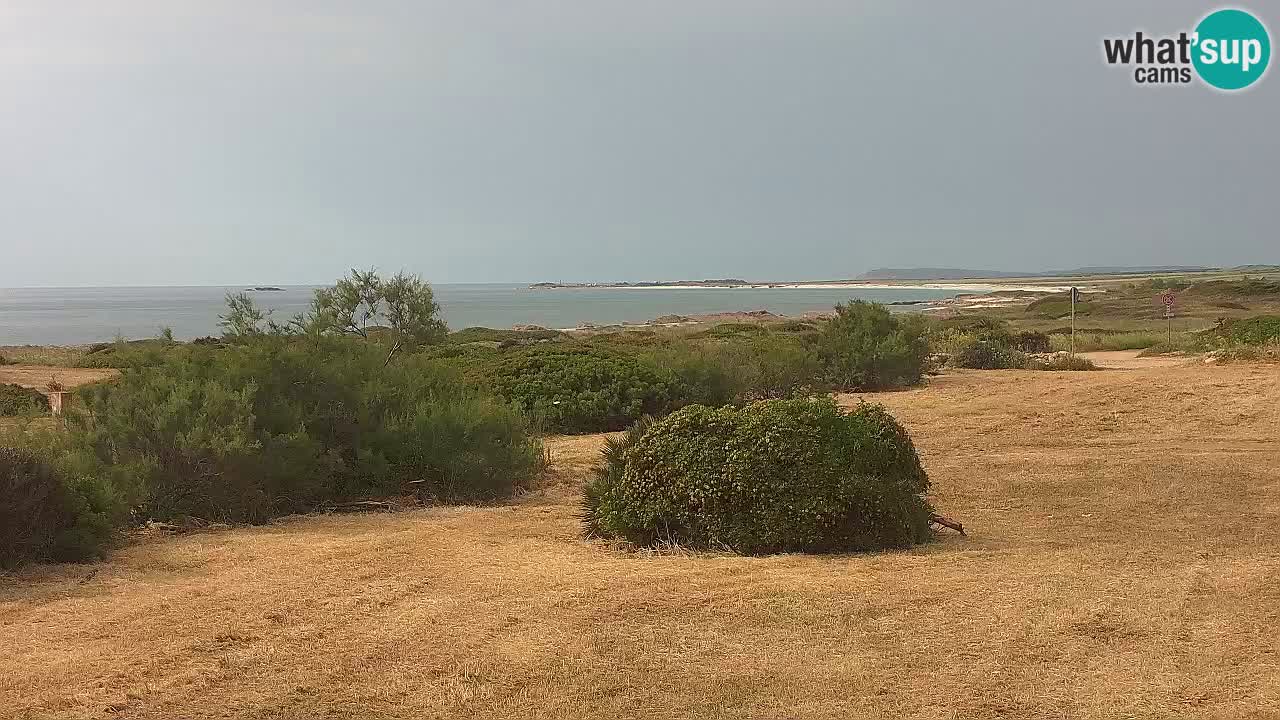 Spiaggia Mari Ermi | Is Arutas – Oristano