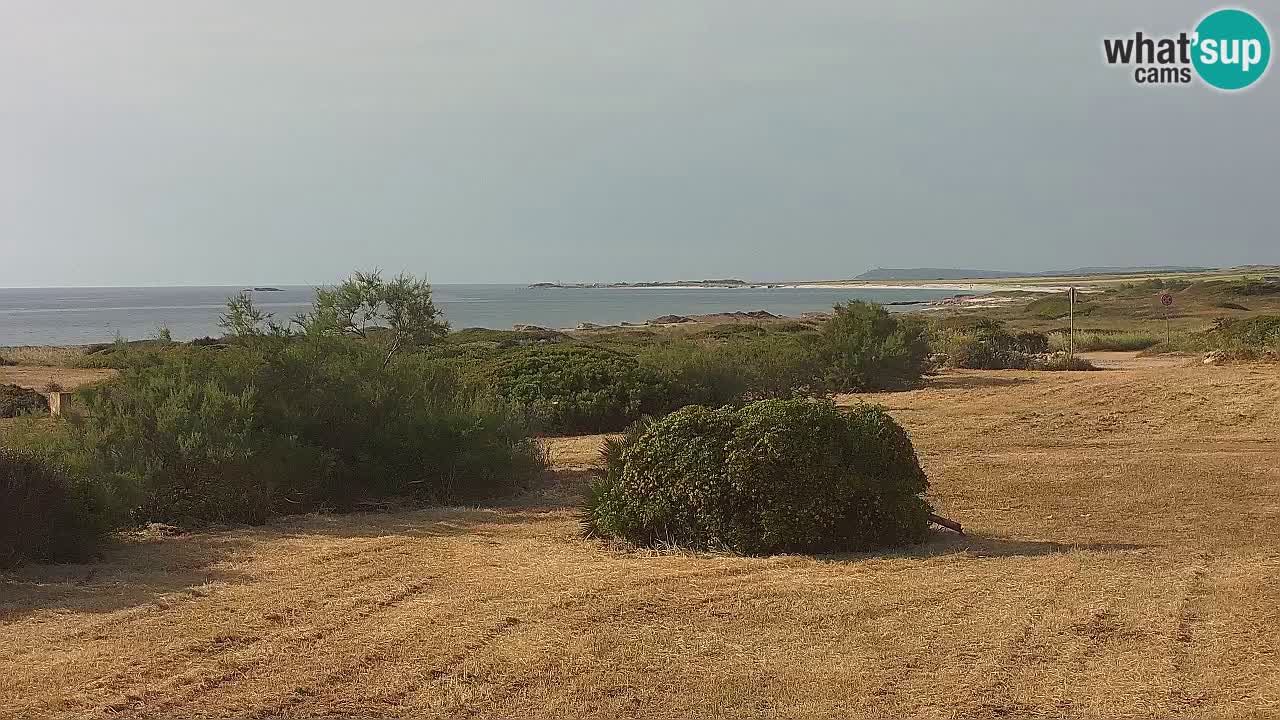 Playa Mari Ermi | Is Arutas – Oristano