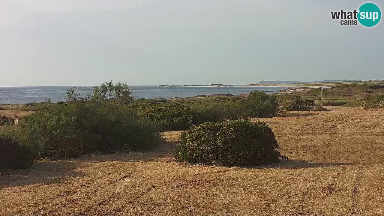 Mari Ermi beach | Is Arutas – Oristano