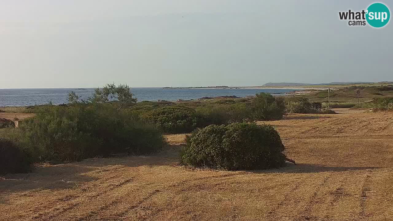 Mari Ermi Strand | Is Arutas – Oristano