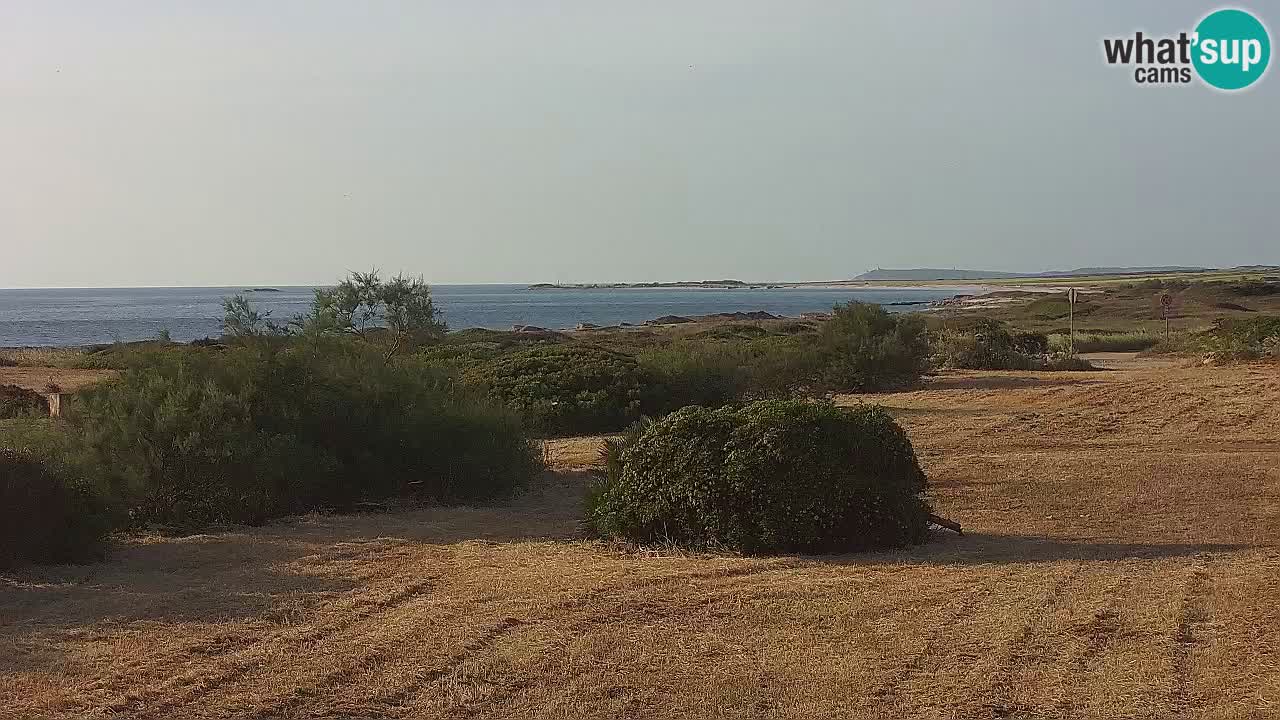 Plage Mari Ermi | Is Arutas – Oristano