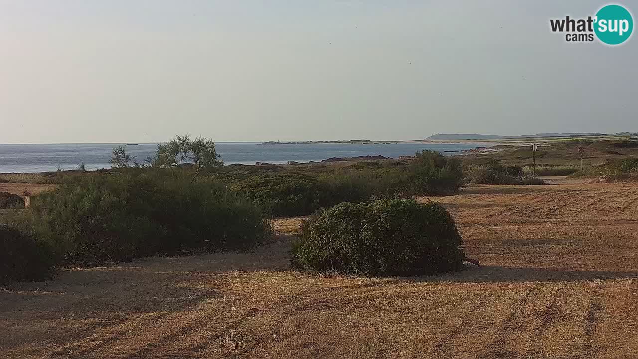 Playa Mari Ermi | Is Arutas – Oristano