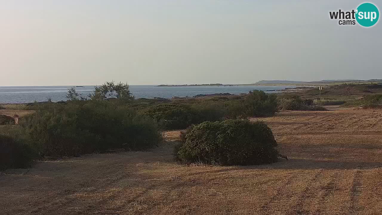 Playa Mari Ermi | Is Arutas – Oristano