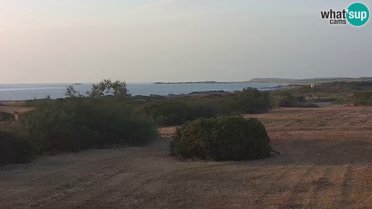 Mari Ermi Strand | Is Arutas – Oristano