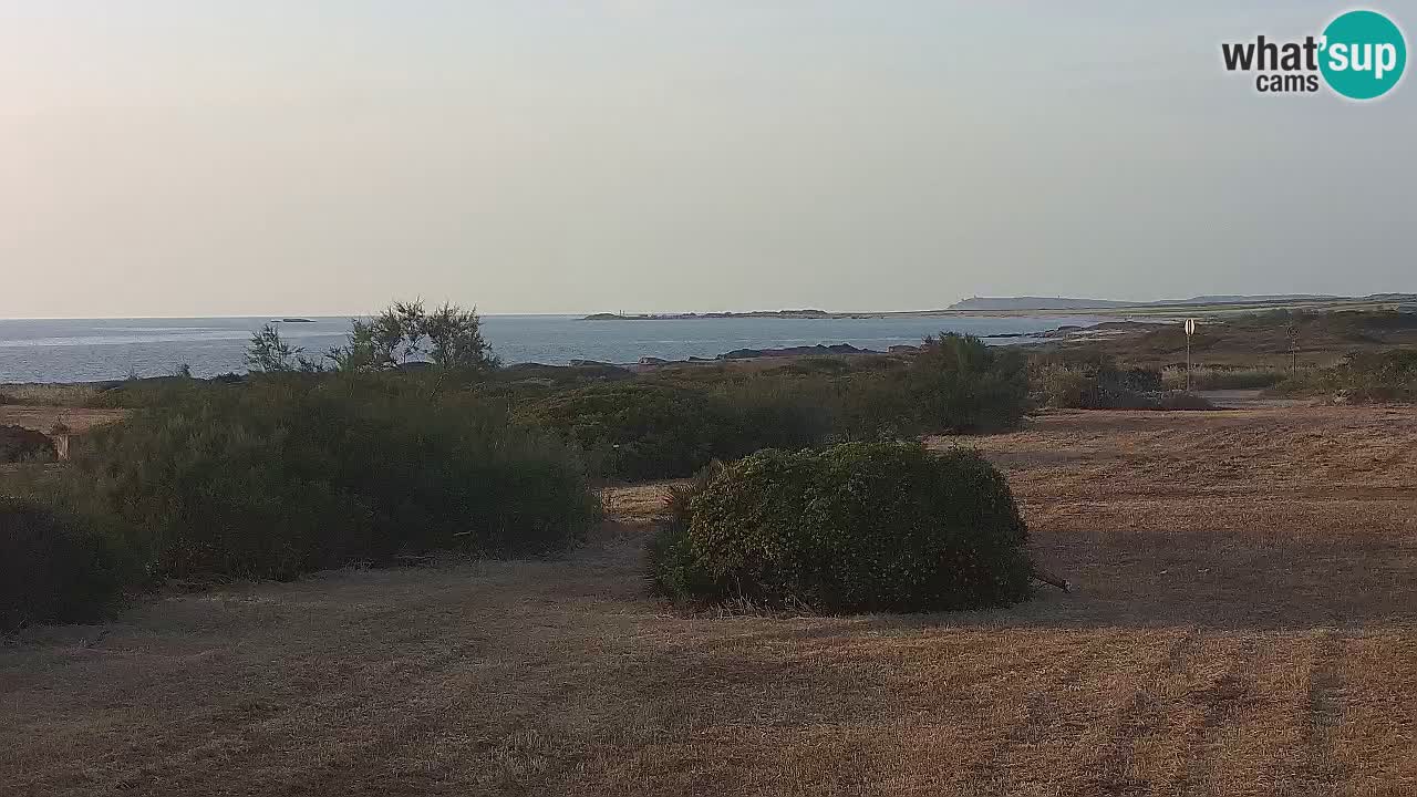 Mari Ermi Strand | Is Arutas – Oristano