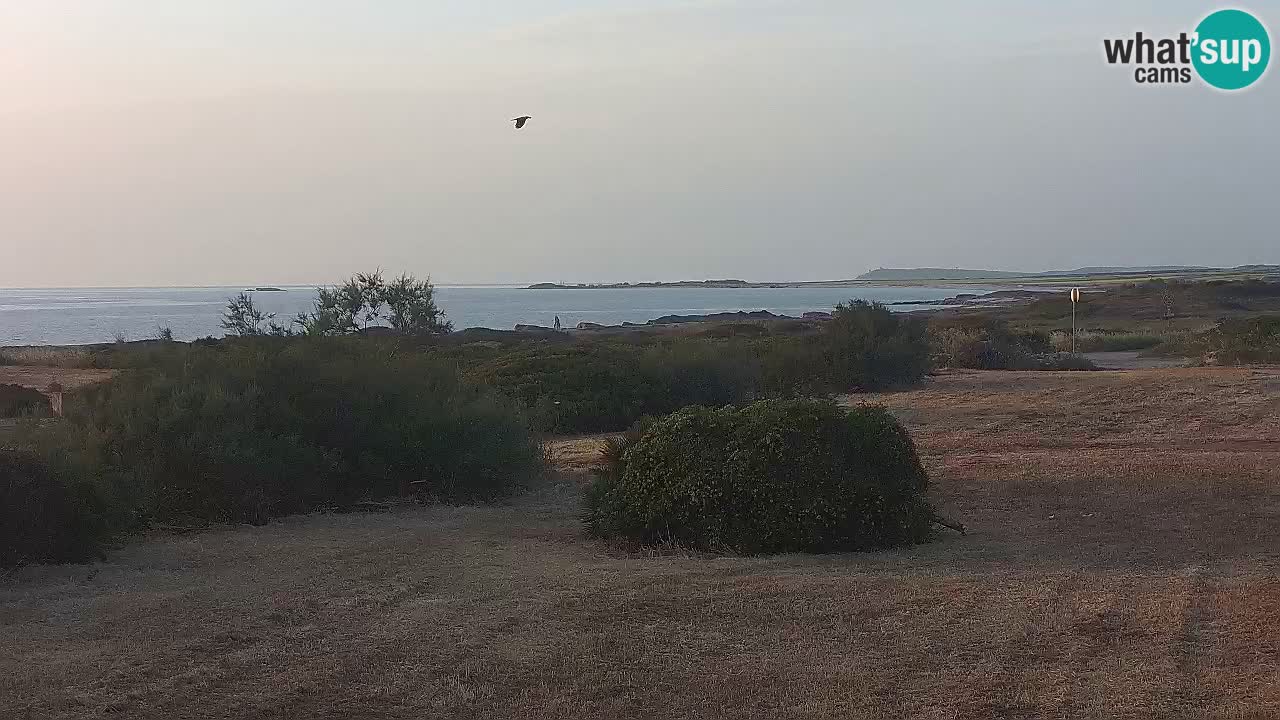Mari Ermi Strand | Is Arutas – Oristano
