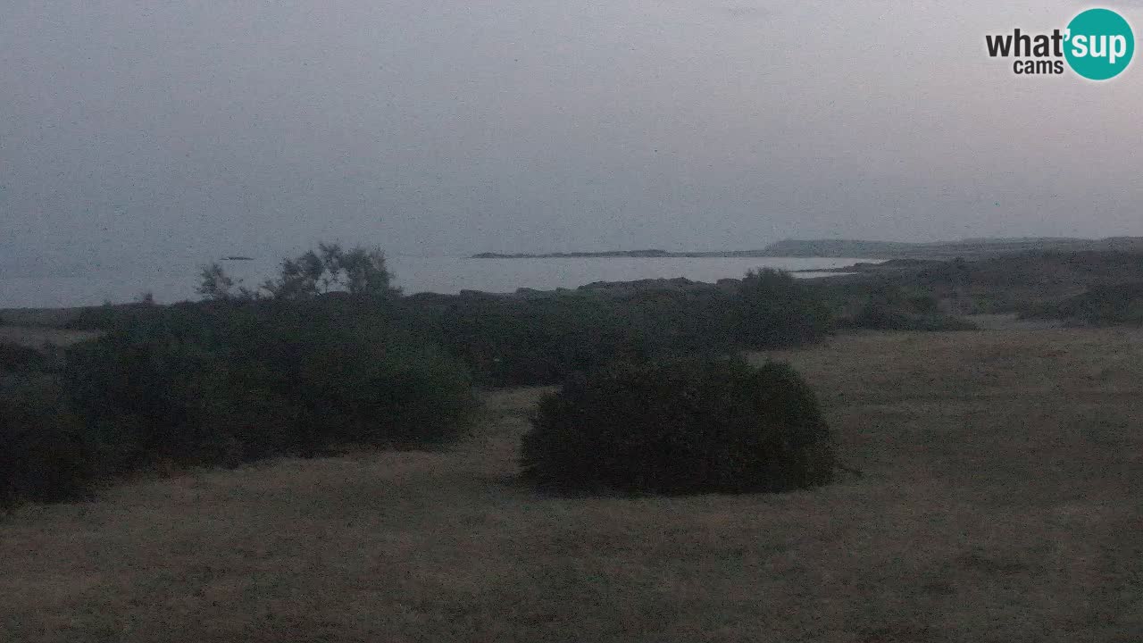 Mari Ermi Strand | Is Arutas – Oristano