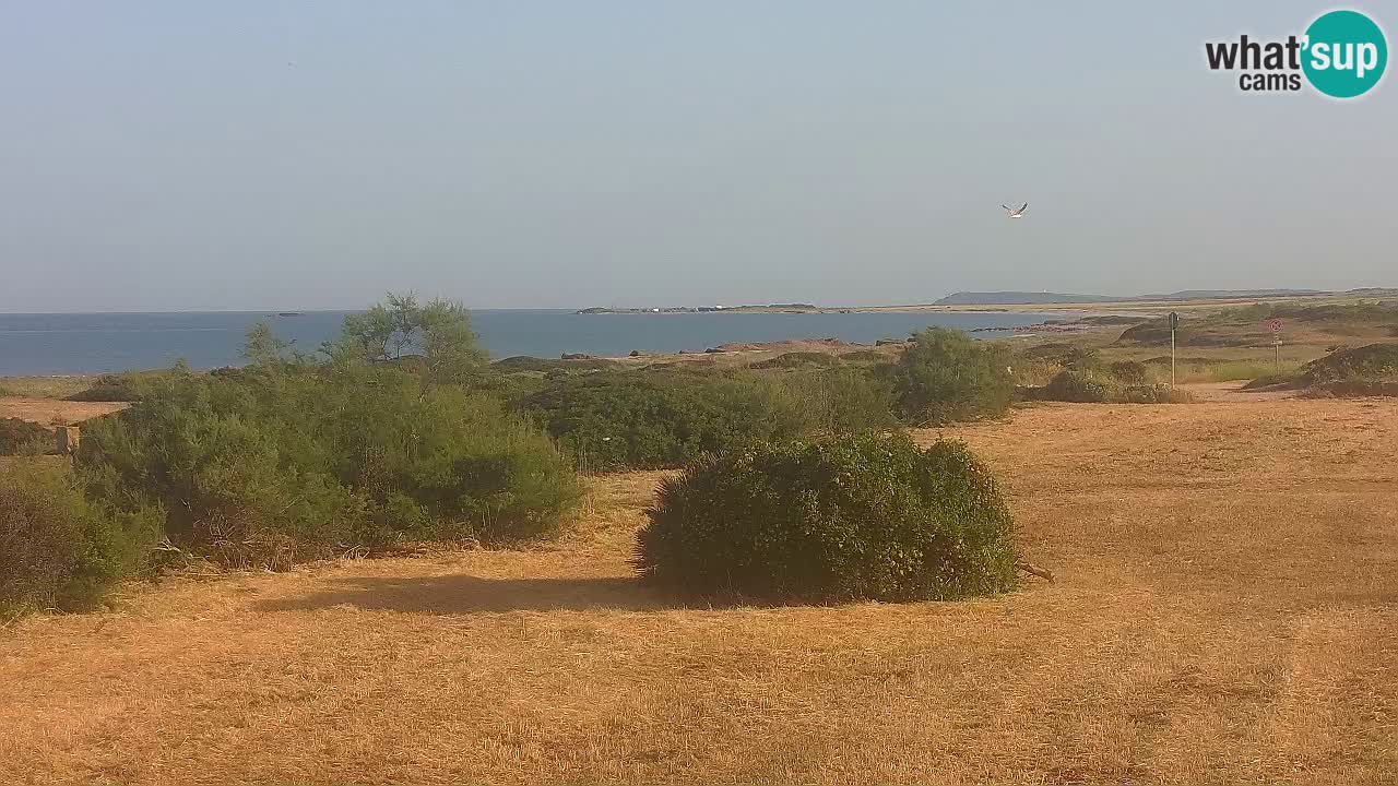 Plage Mari Ermi | Is Arutas – Oristano