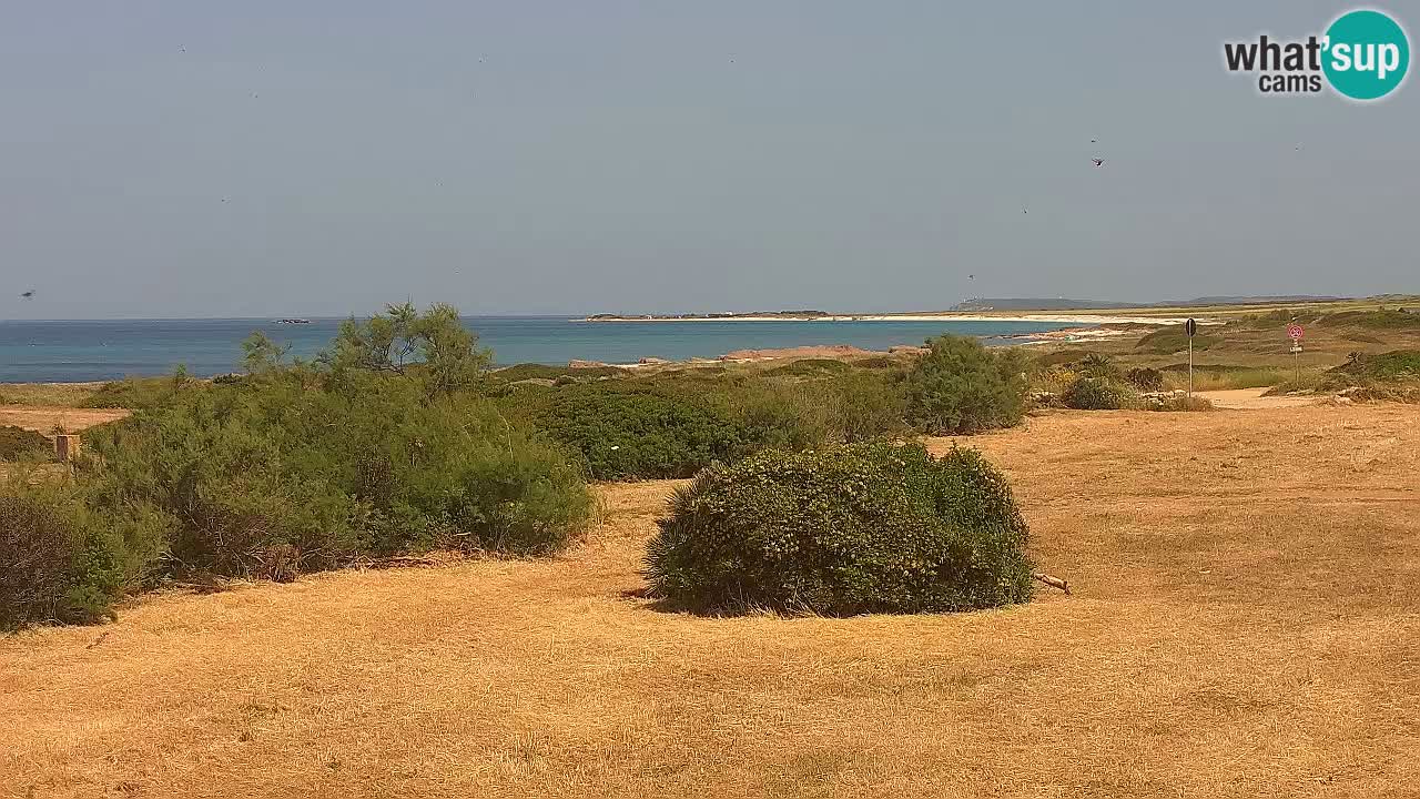 Plaža Mari Ermi | Is Arutas – Oristano