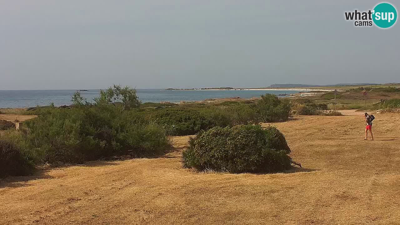 Mari Ermi Strand | Is Arutas – Oristano
