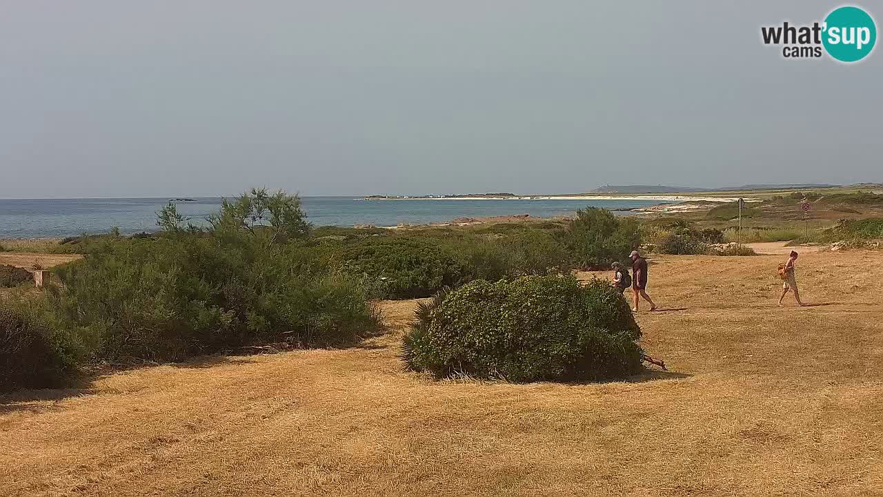 Mari Ermi beach | Is Arutas – Oristano