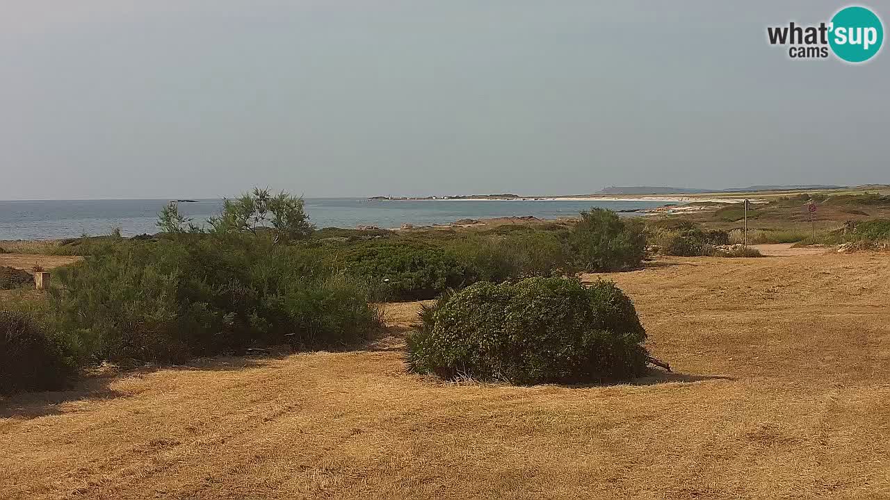 Mari Ermi beach | Is Arutas – Oristano