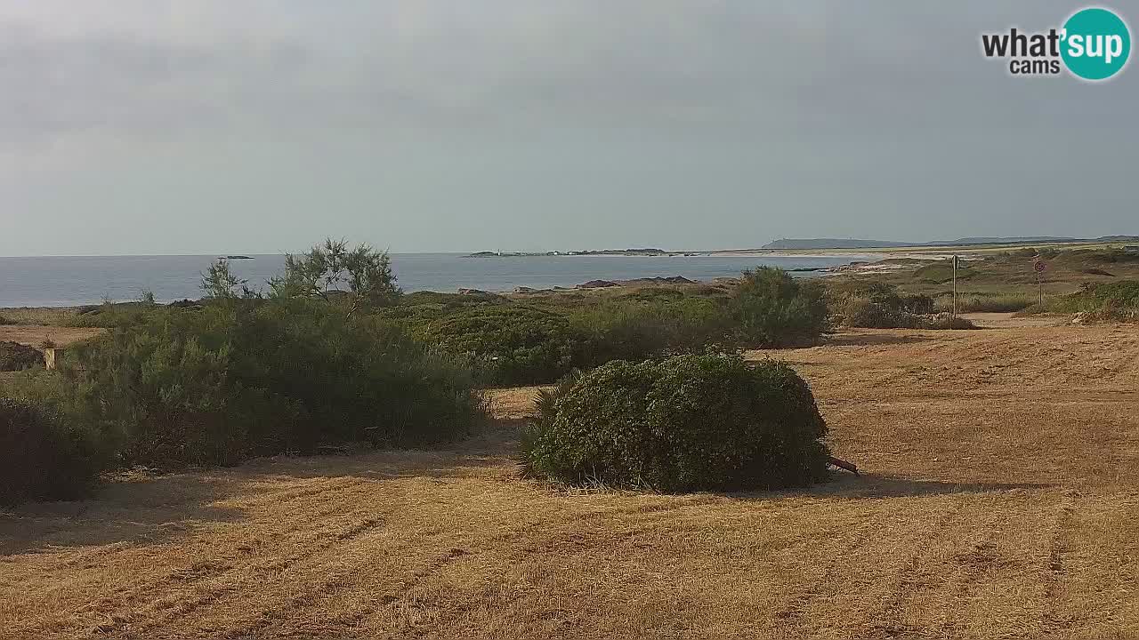 Mari Ermi Strand | Is Arutas – Oristano