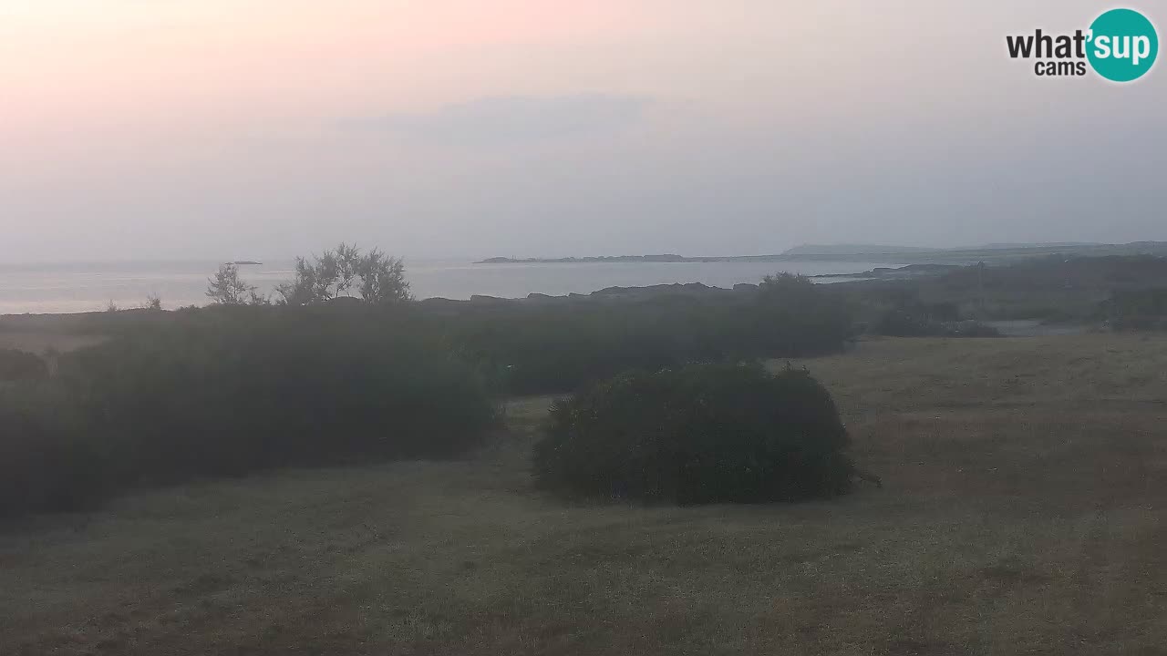 Plage Mari Ermi | Is Arutas – Oristano