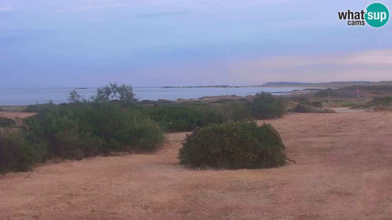 Plaža Mari Ermi | Is Arutas – Oristano