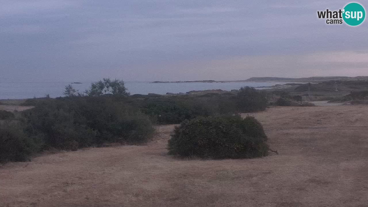 Mari Ermi beach | Is Arutas – Oristano