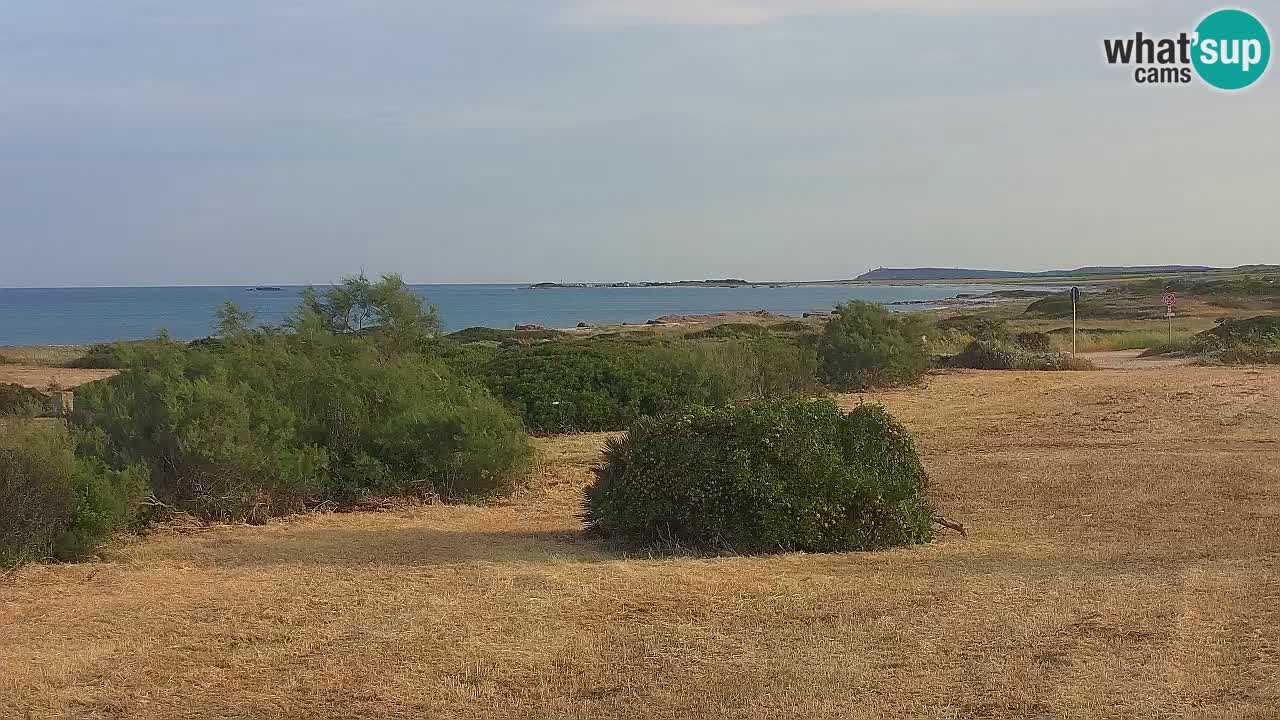Plaža Mari Ermi | Is Arutas – Oristano
