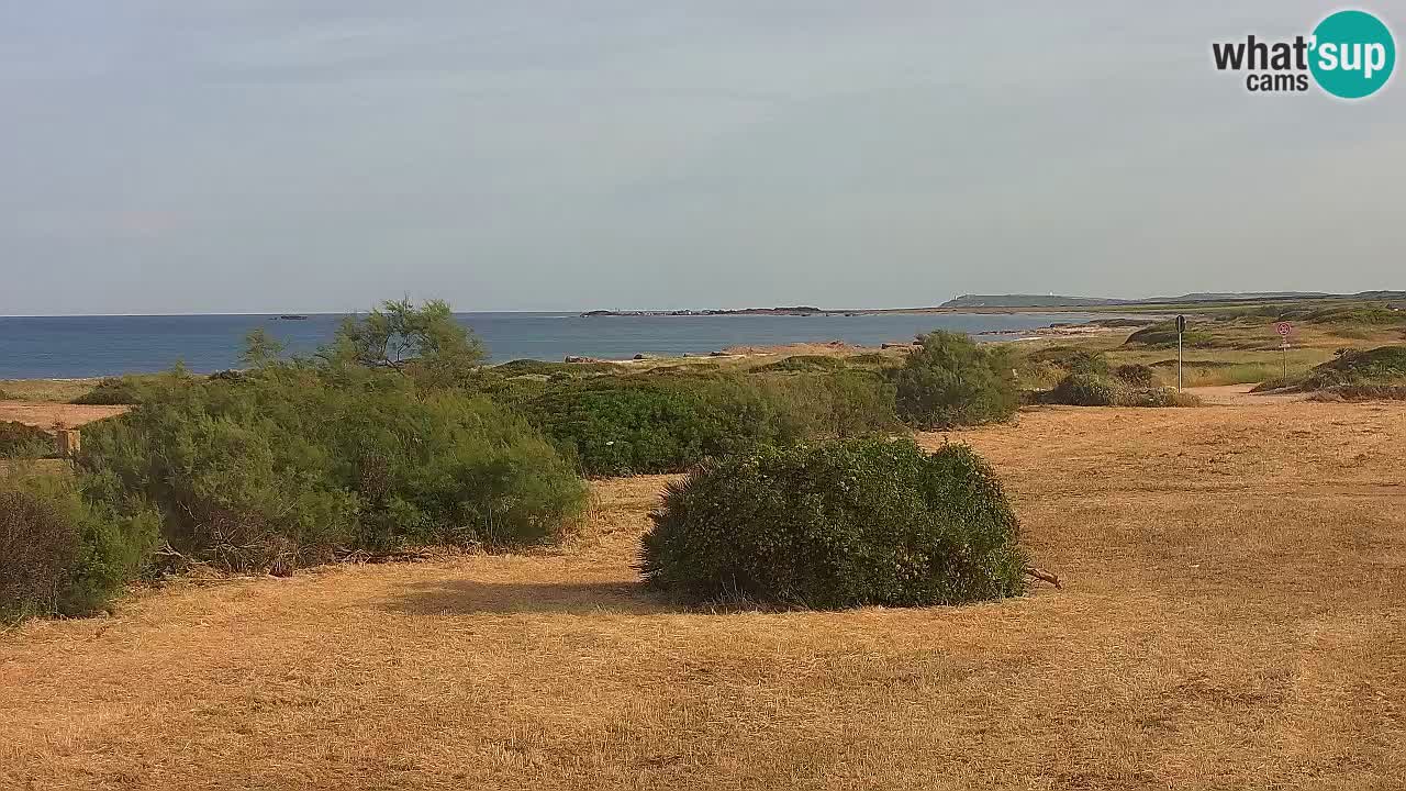Plage Mari Ermi | Is Arutas – Oristano