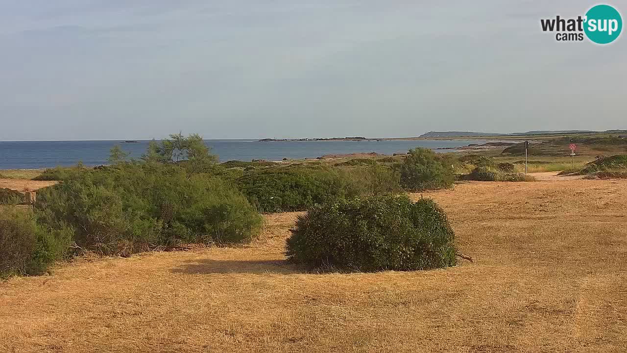 Plage Mari Ermi | Is Arutas – Oristano