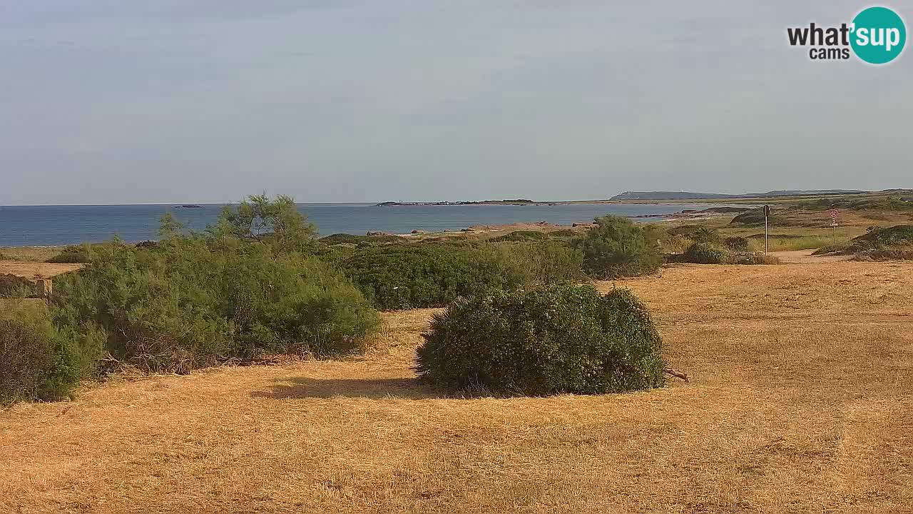 Plaža Mari Ermi | Is Arutas – Oristano