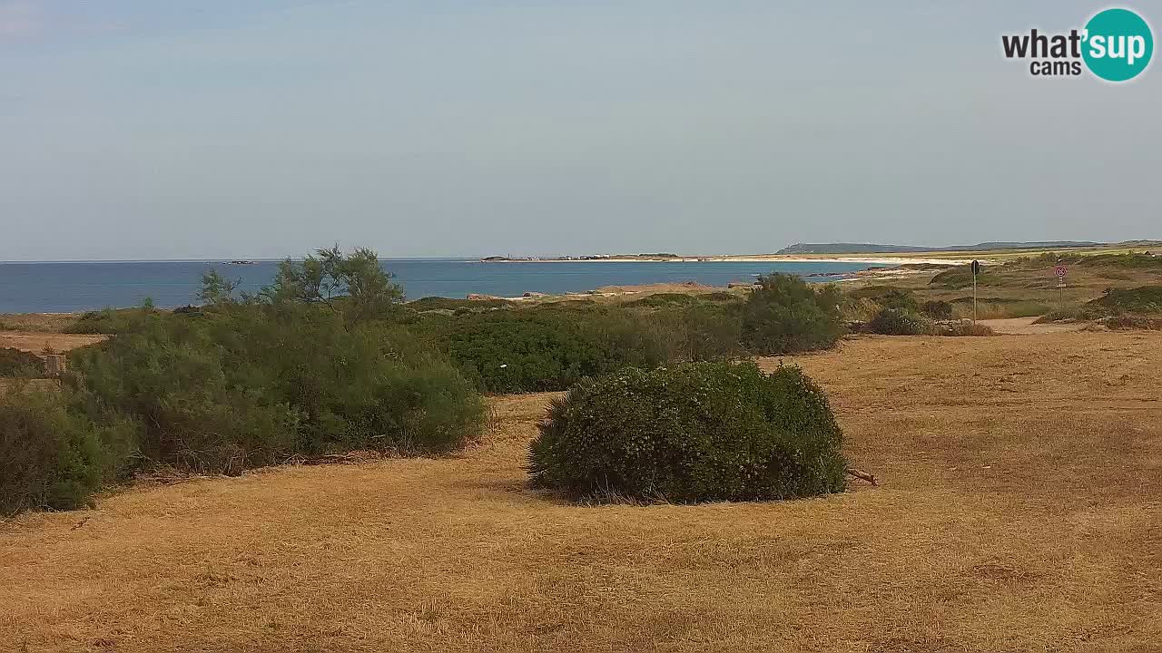 Mari Ermi Strand | Is Arutas – Oristano