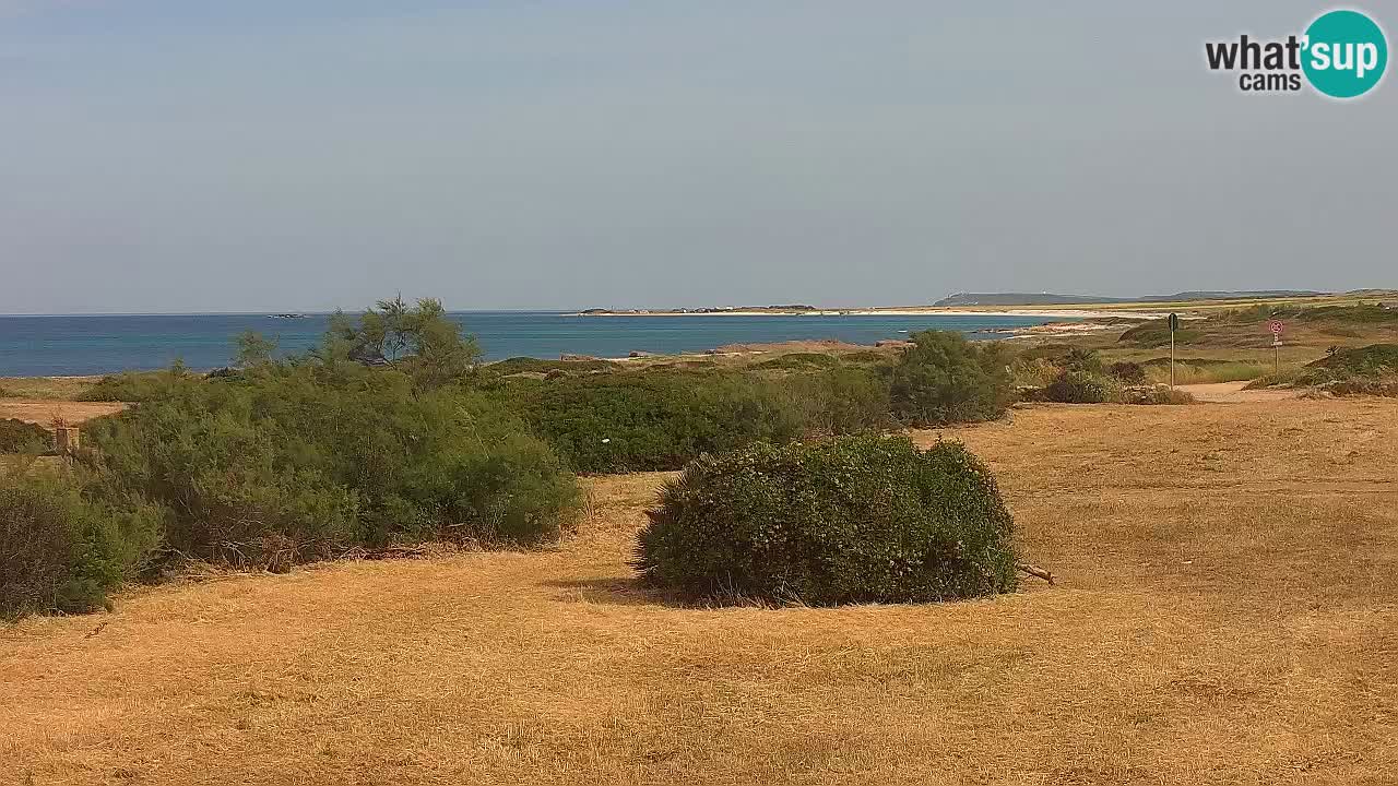 Playa Mari Ermi | Is Arutas – Oristano