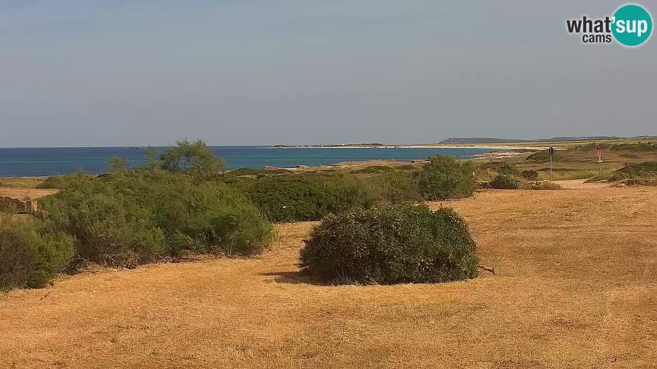 Playa Mari Ermi | Is Arutas – Oristano