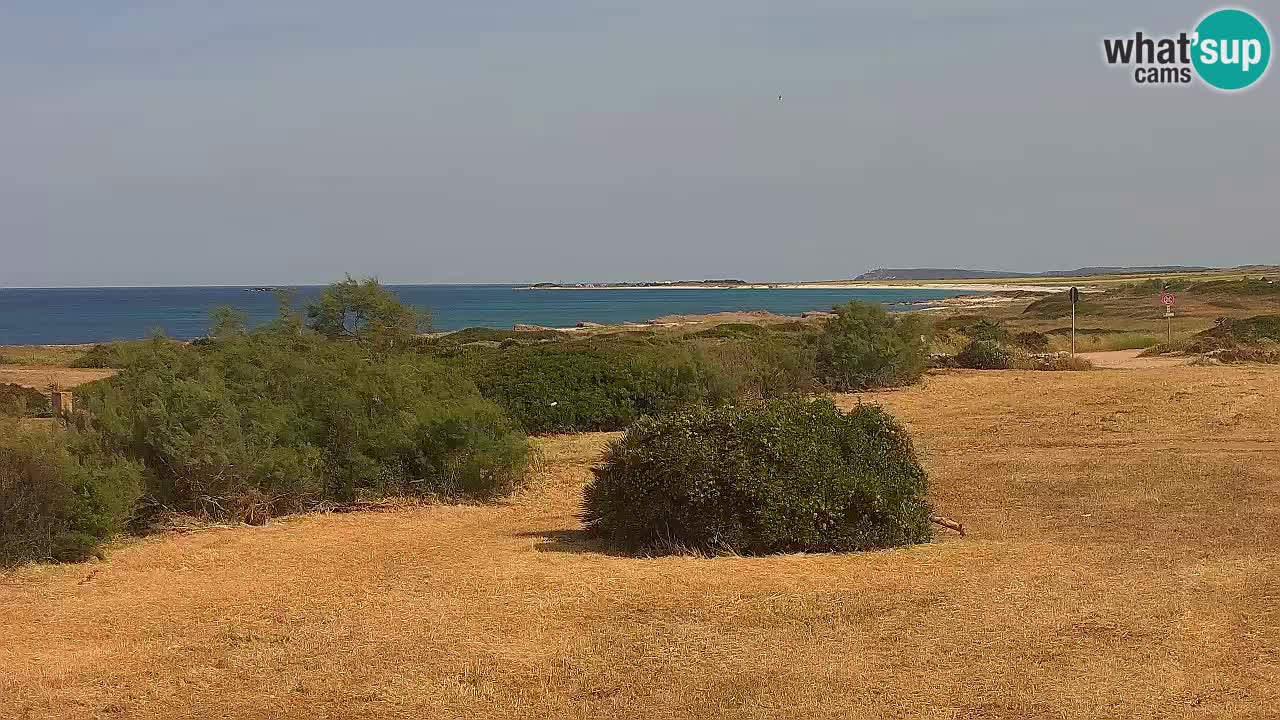 Playa Mari Ermi | Is Arutas – Oristano