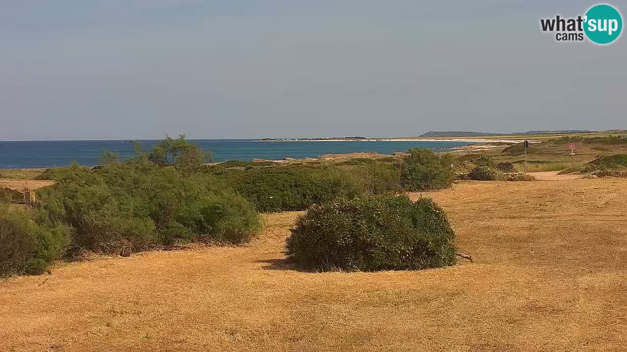 Mari Ermi Strand | Is Arutas – Oristano
