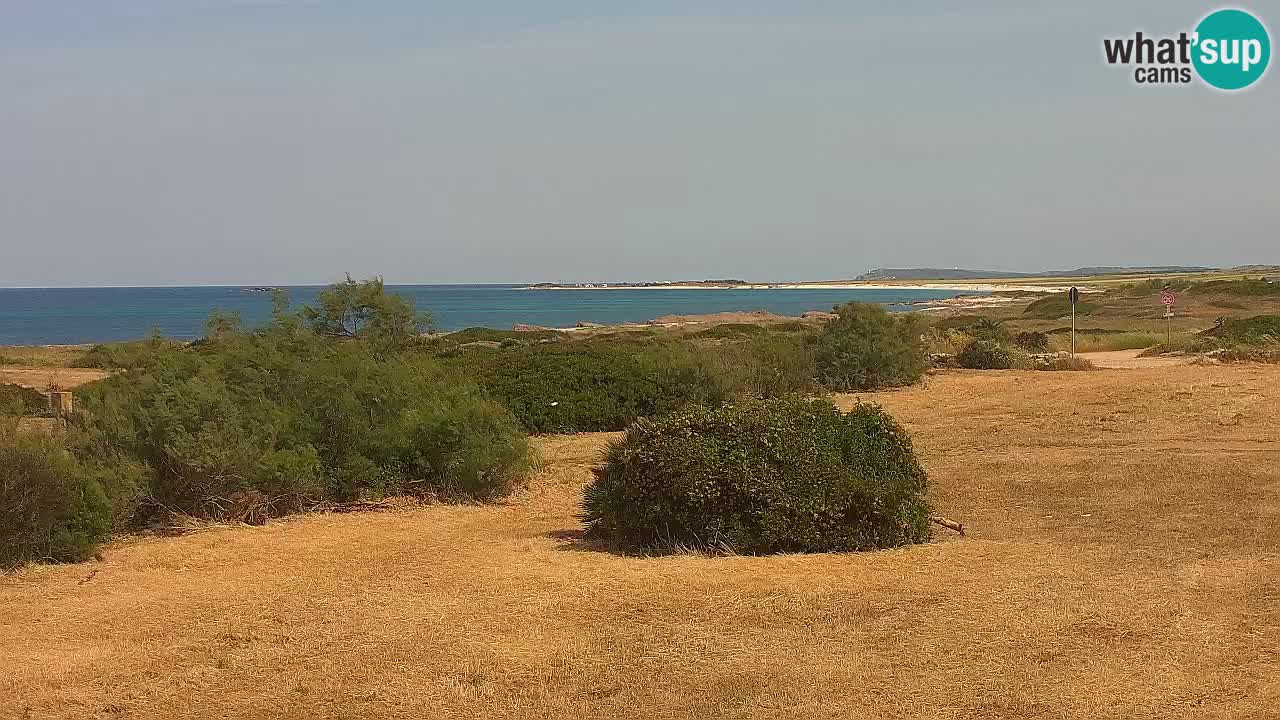 Playa Mari Ermi | Is Arutas – Oristano