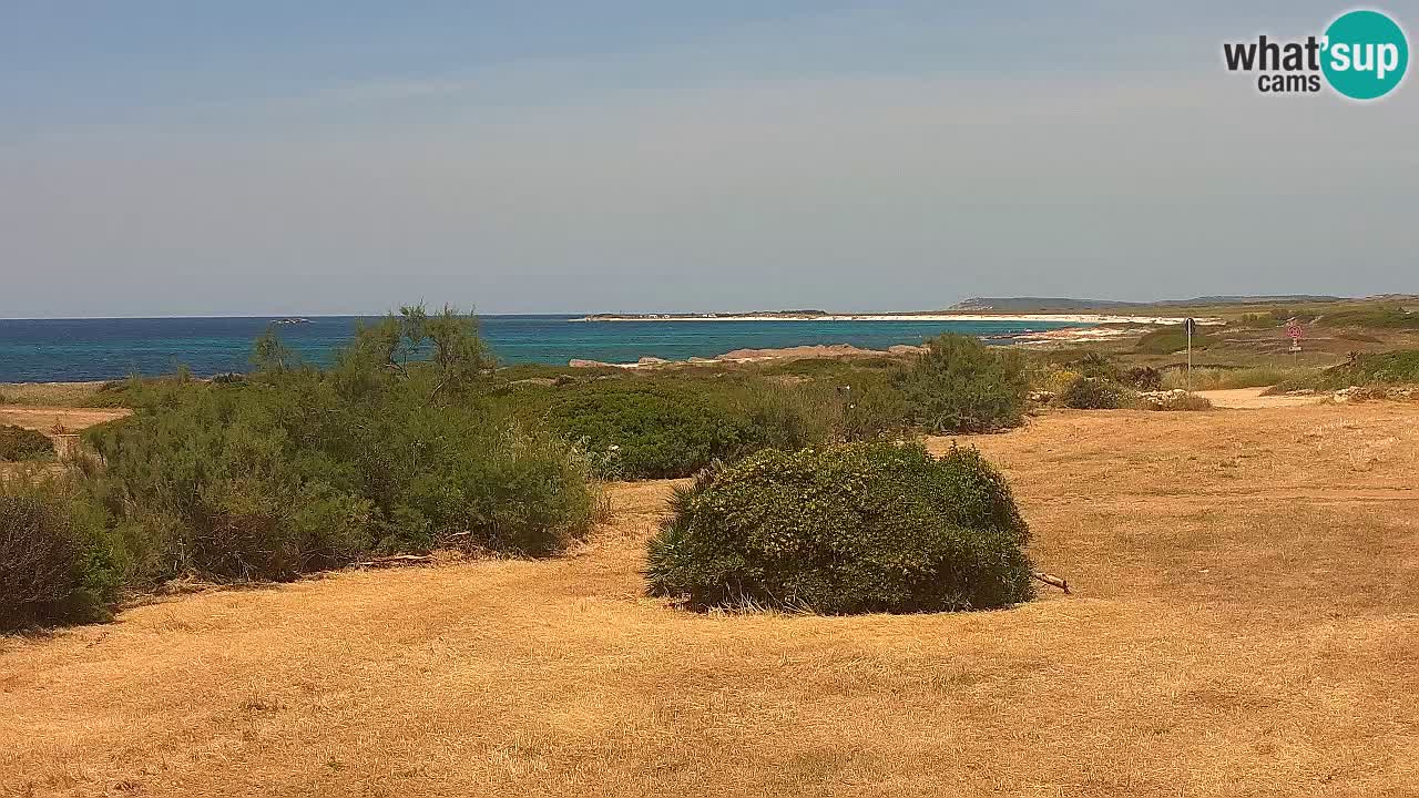 Playa Mari Ermi | Is Arutas – Oristano