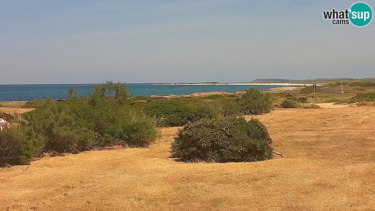 Playa Mari Ermi | Is Arutas – Oristano