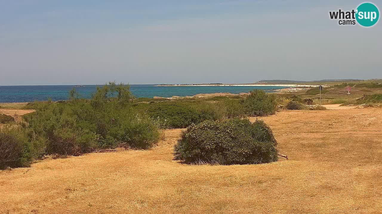 Mari Ermi Strand | Is Arutas – Oristano