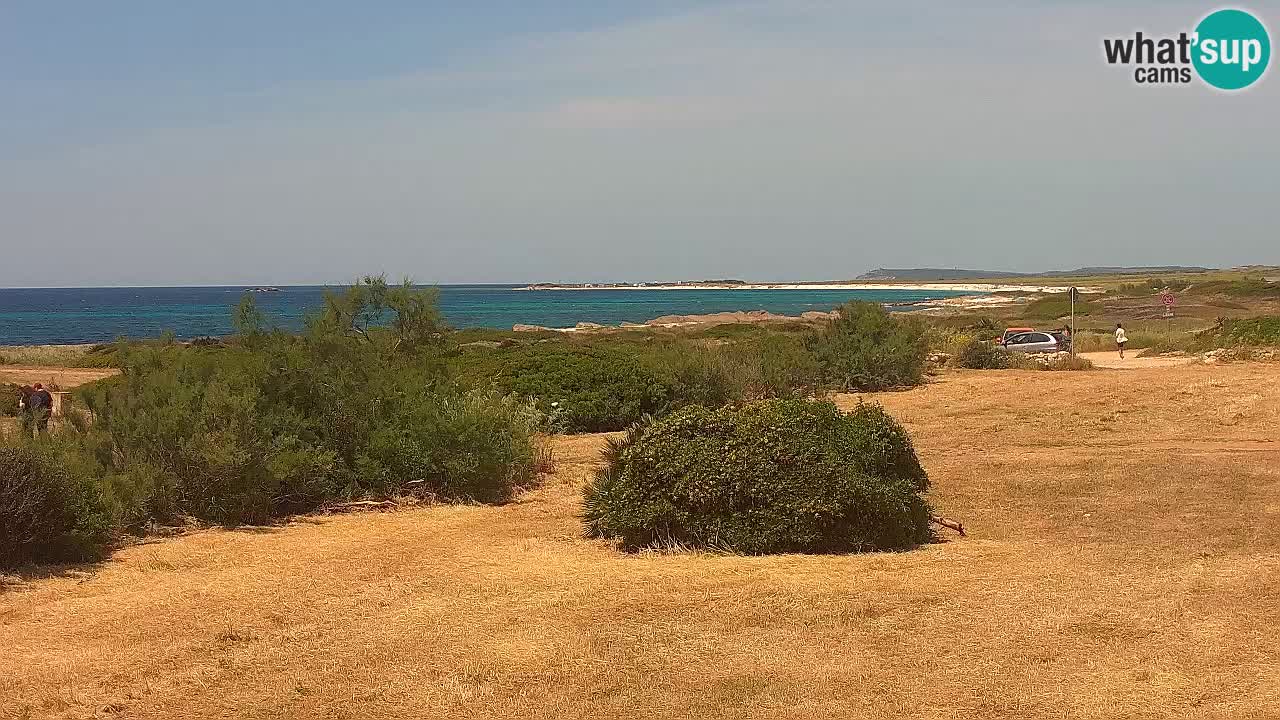 Plaža Mari Ermi | Is Arutas – Oristano