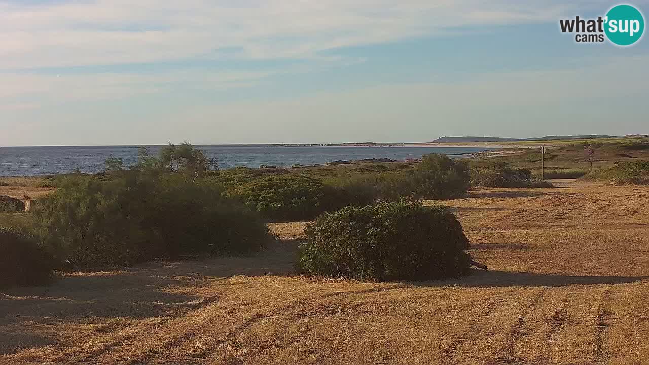 Mari Ermi Strand | Is Arutas – Oristano