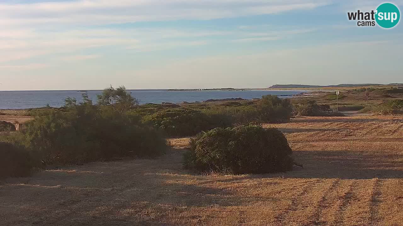 Plage Mari Ermi | Is Arutas – Oristano