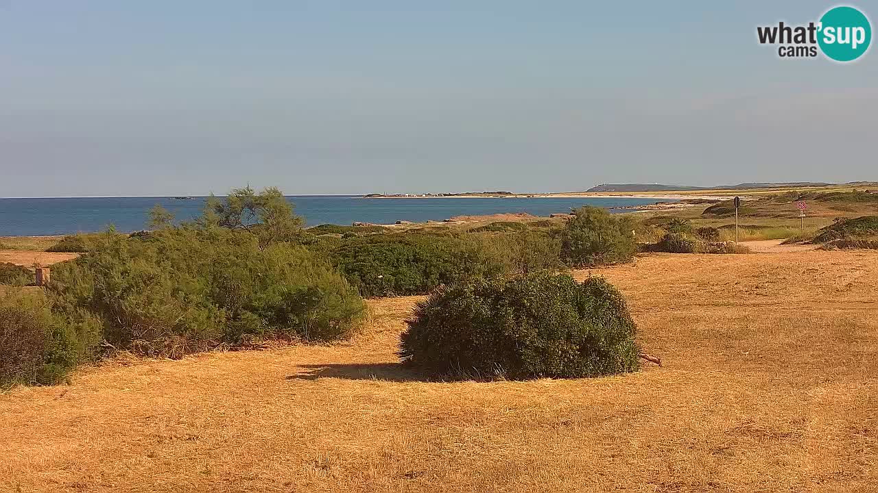 Mari Ermi Strand | Is Arutas – Oristano