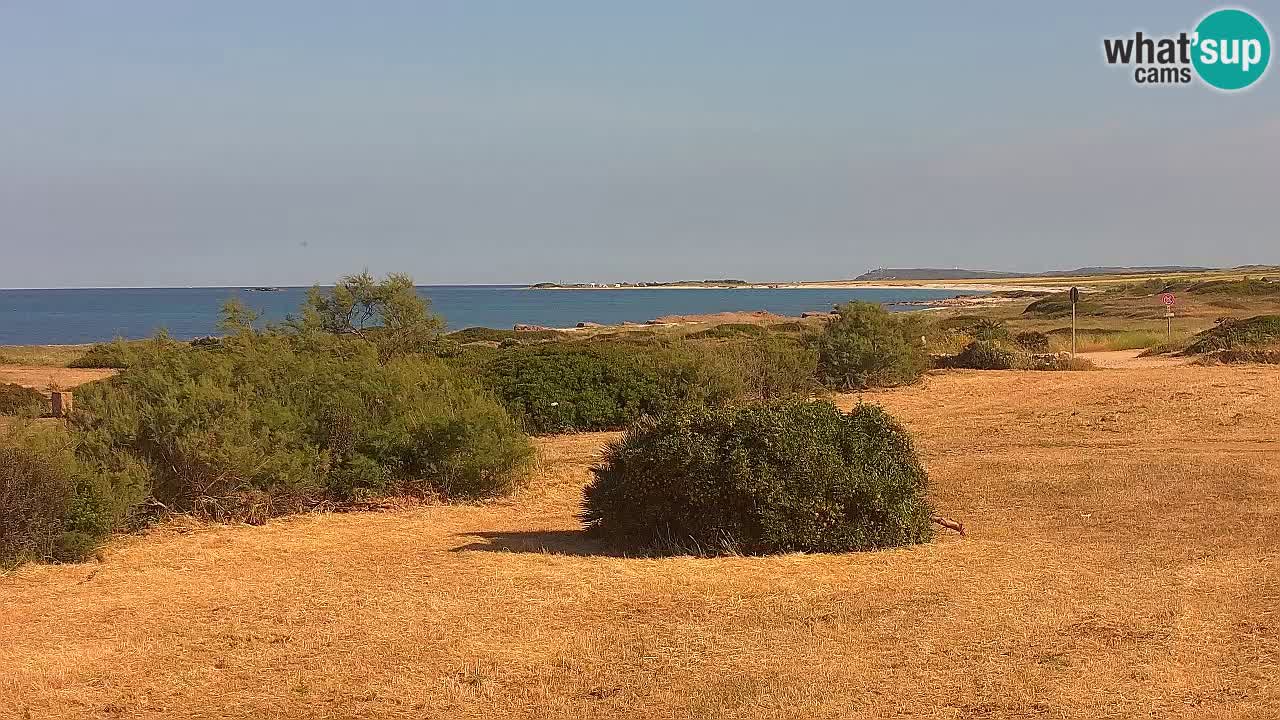 Spiaggia Mari Ermi | Is Arutas – Oristano