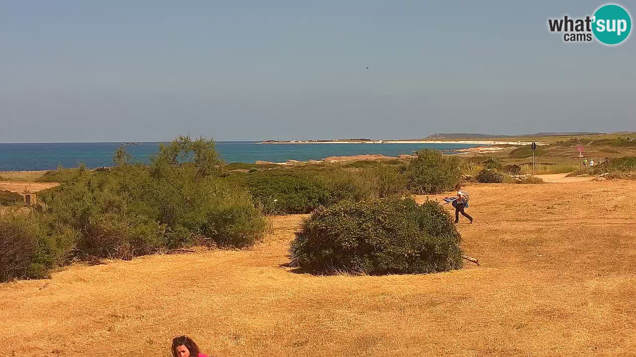 Playa Mari Ermi | Is Arutas – Oristano