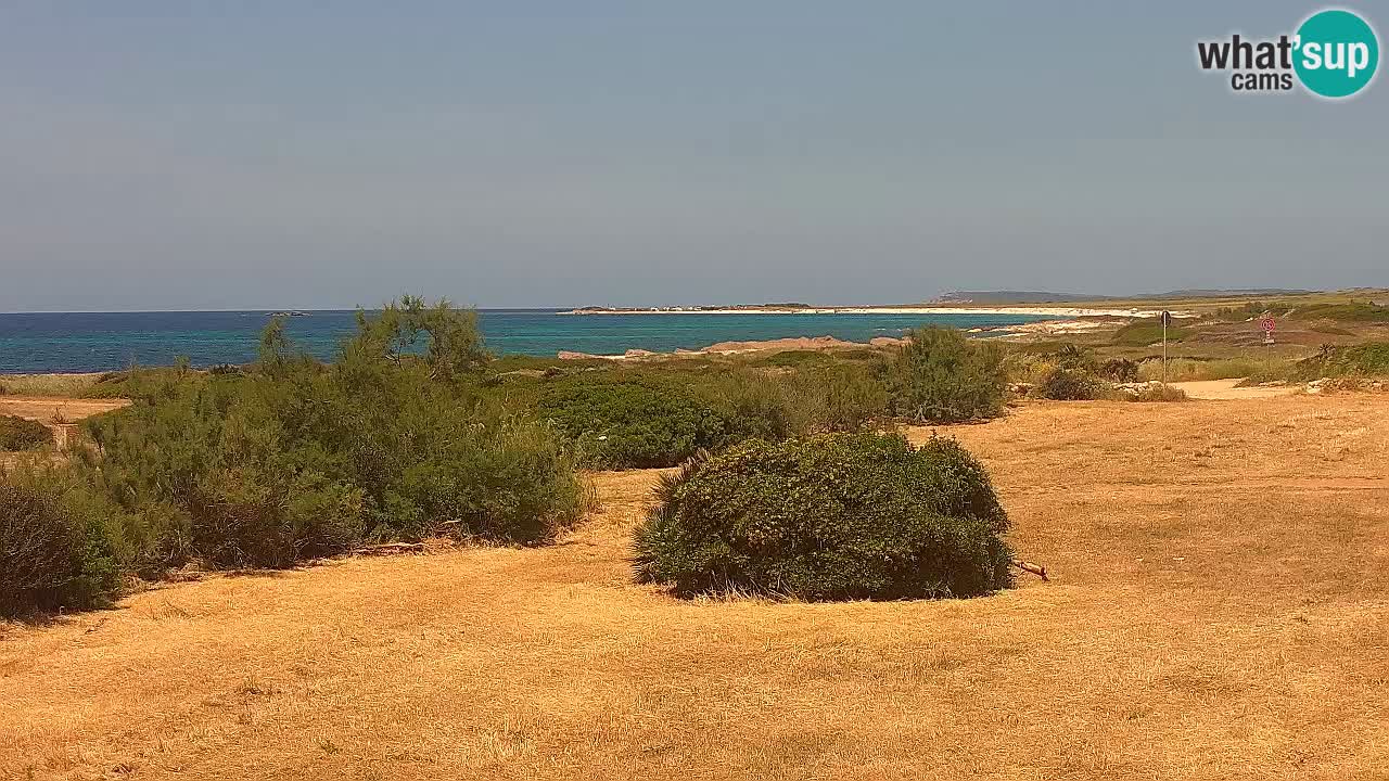 Spiaggia Mari Ermi | Is Arutas – Oristano