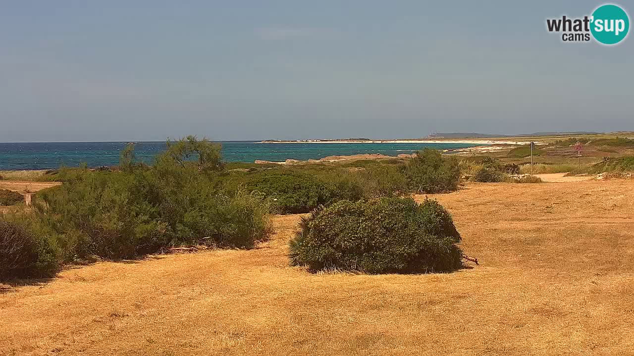 Spiaggia Mari Ermi | Is Arutas – Oristano