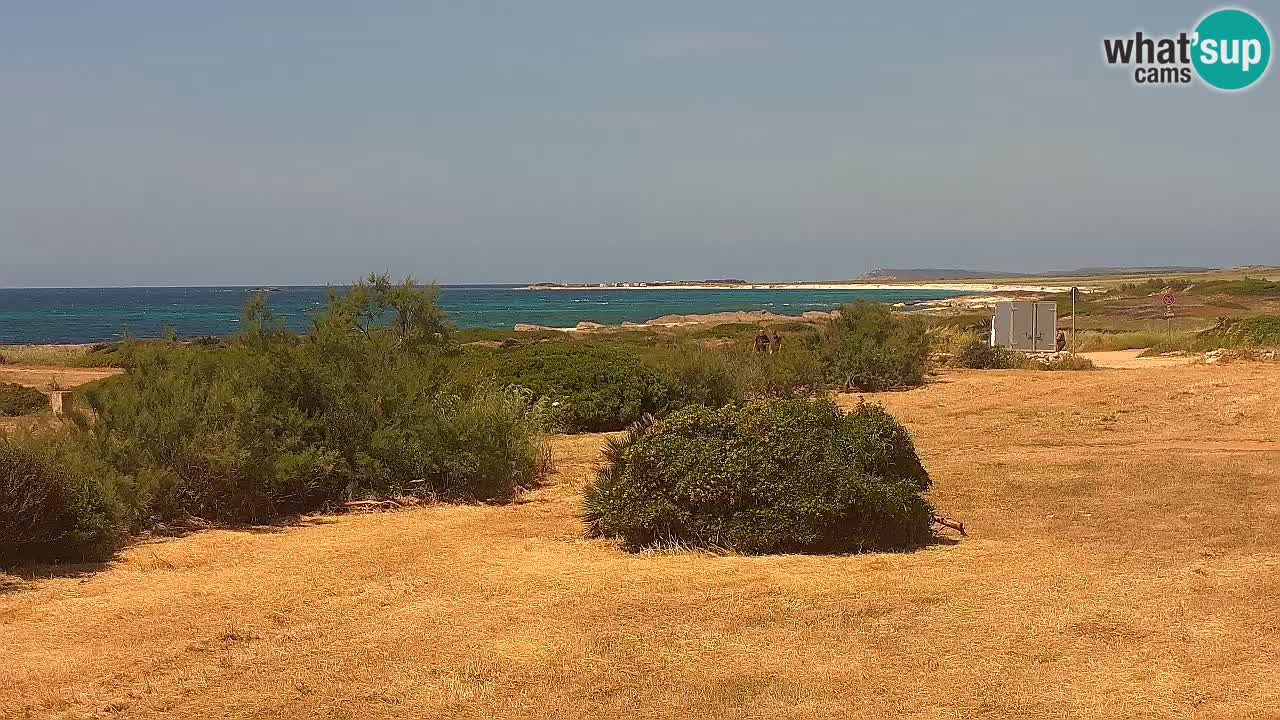 Spiaggia Mari Ermi | Is Arutas – Oristano