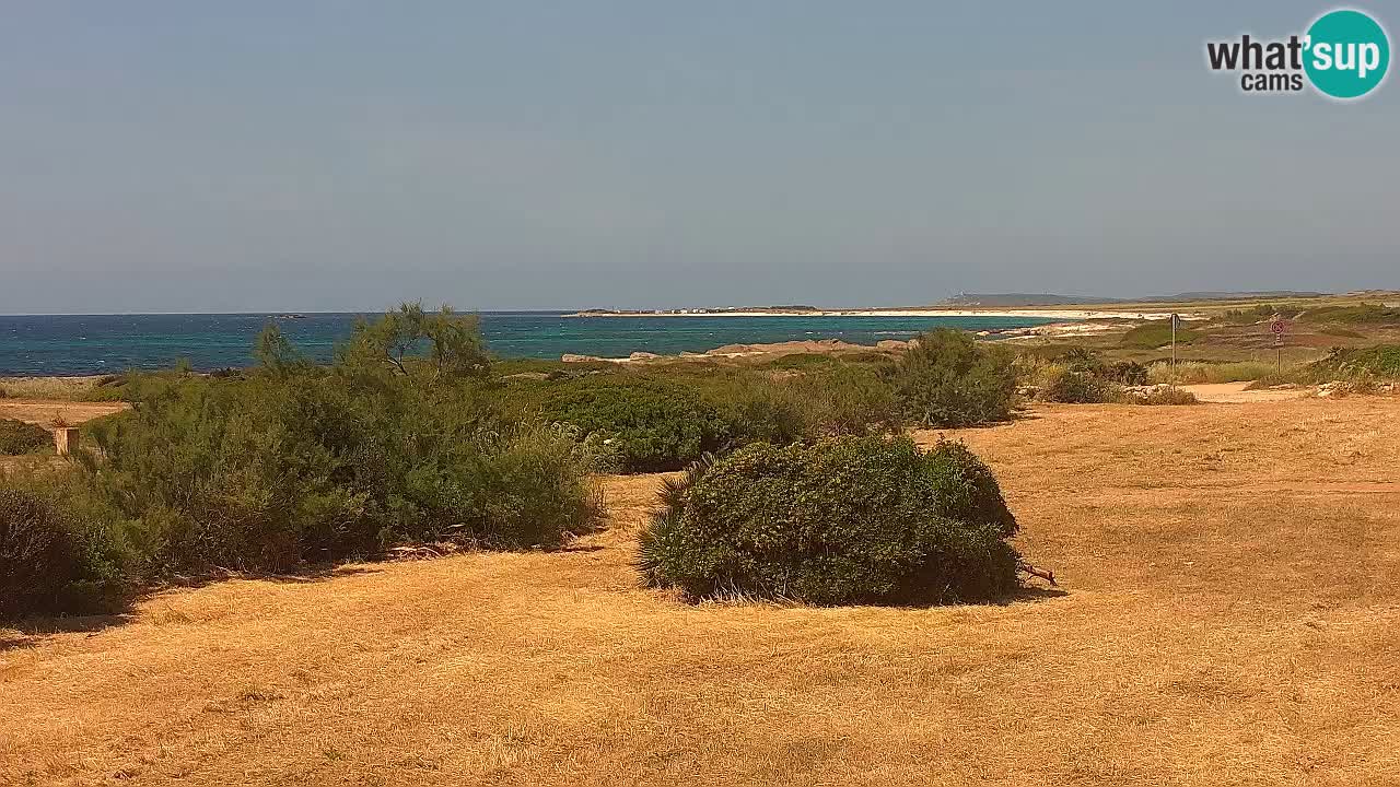 Playa Mari Ermi | Is Arutas – Oristano