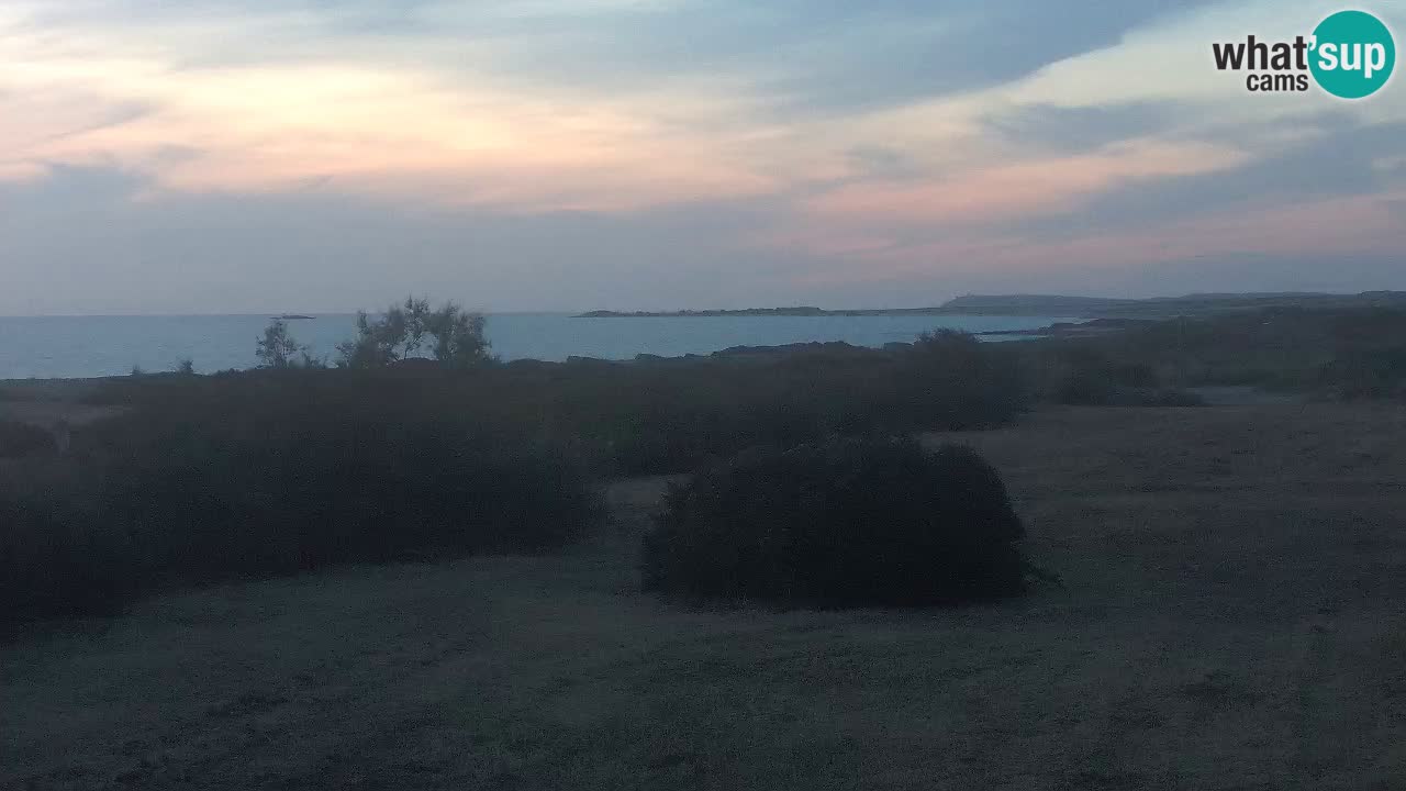 Plage Mari Ermi | Is Arutas – Oristano