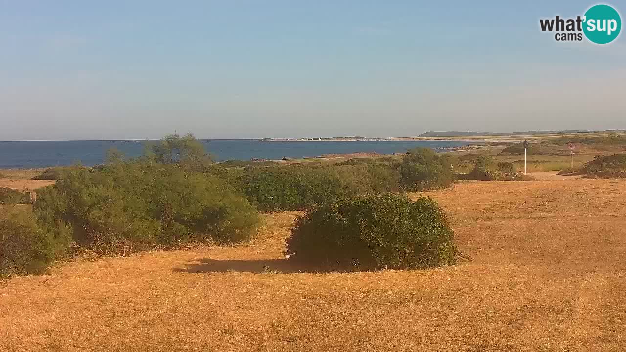 Playa Mari Ermi | Is Arutas – Oristano