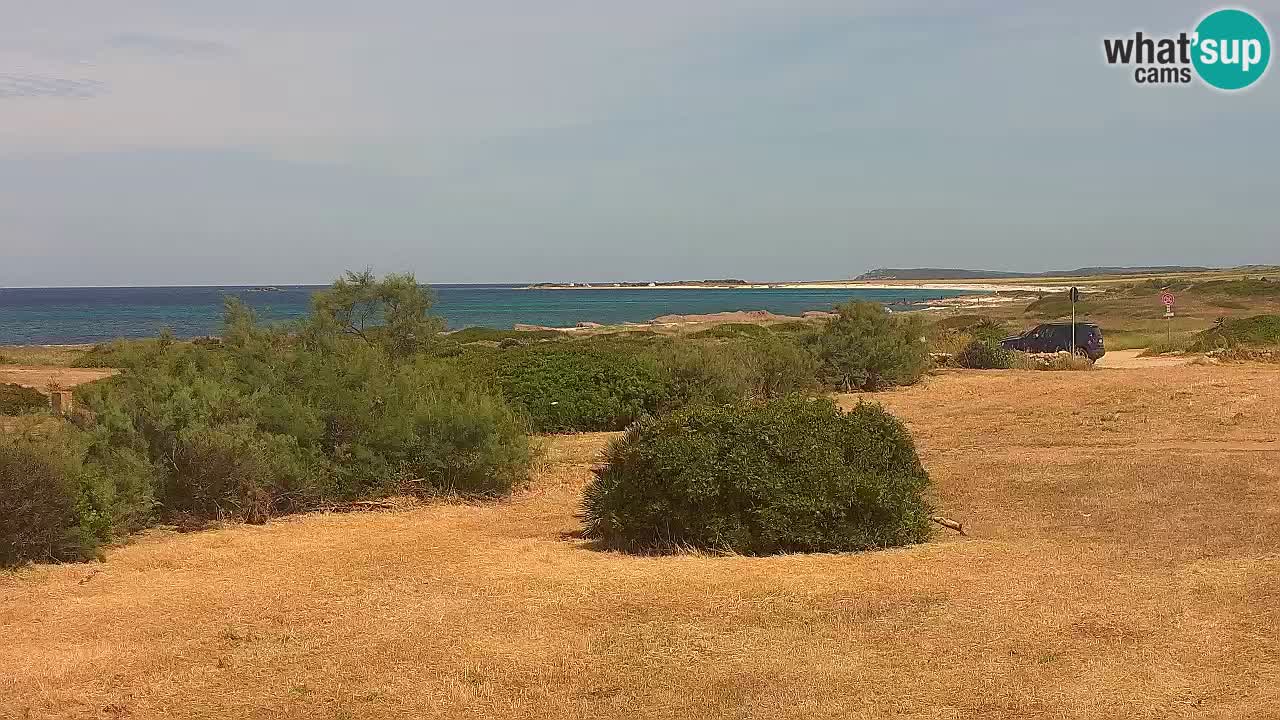 Plage Mari Ermi | Is Arutas – Oristano